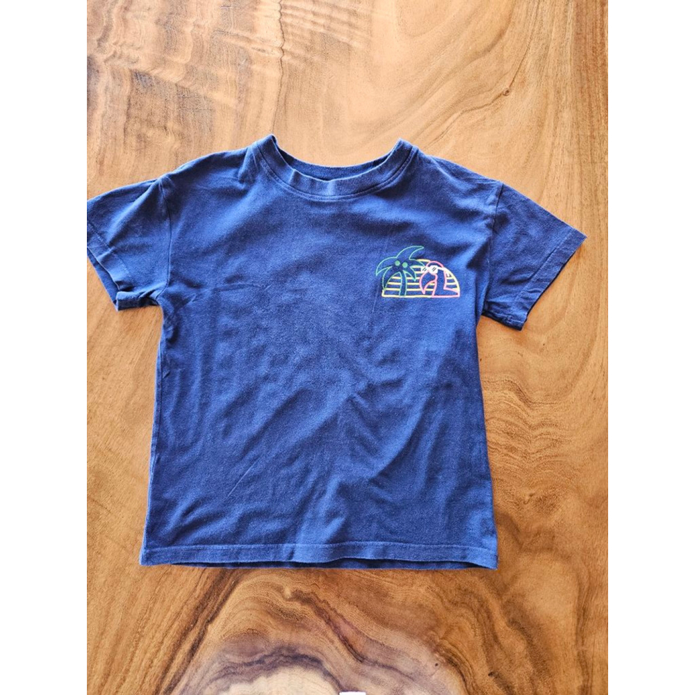 Boys Hanna Andersson Blue Flamingo Graphic Tee Size 5